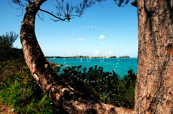 Bermuda